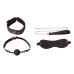 Набір БДСМ - Erospace Wild Play BDSM Set 4 pcs C9 Набір БДСМ - Erospace Wild Play BDSM Set 4 pcs C9