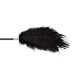 Стек Fetish B-Series Tickler & Whip 1.0 чорний