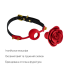 Кляп-троянда Zalo Rose Ball Gag