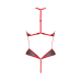 Сітчасте боді з мереживом на грудях Passion SATARA BODY red