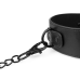 Нашийник з повідцем Bedroom Fantasies Faux Leather Collar & Chain