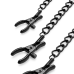 Затискачі для сосків і клітора Bedroom Fantasies Nipple & Clitoral Clamps, чорні