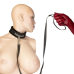 Ошийник з повідцем Punishment Crystal Collar & Leash, чорний